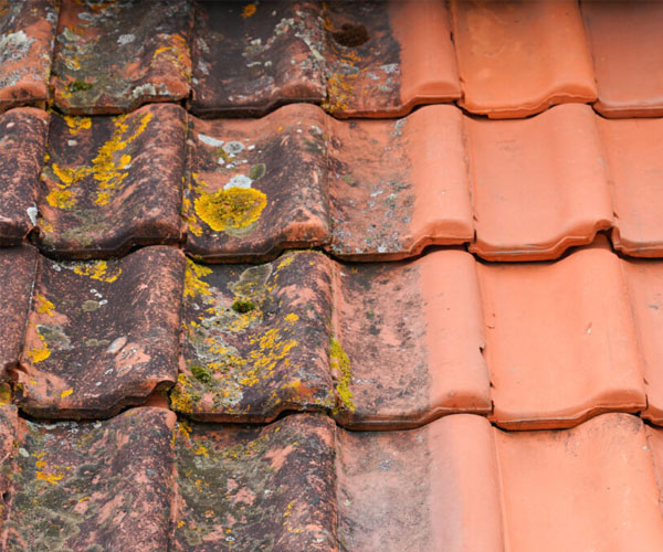 Roof Cleaning